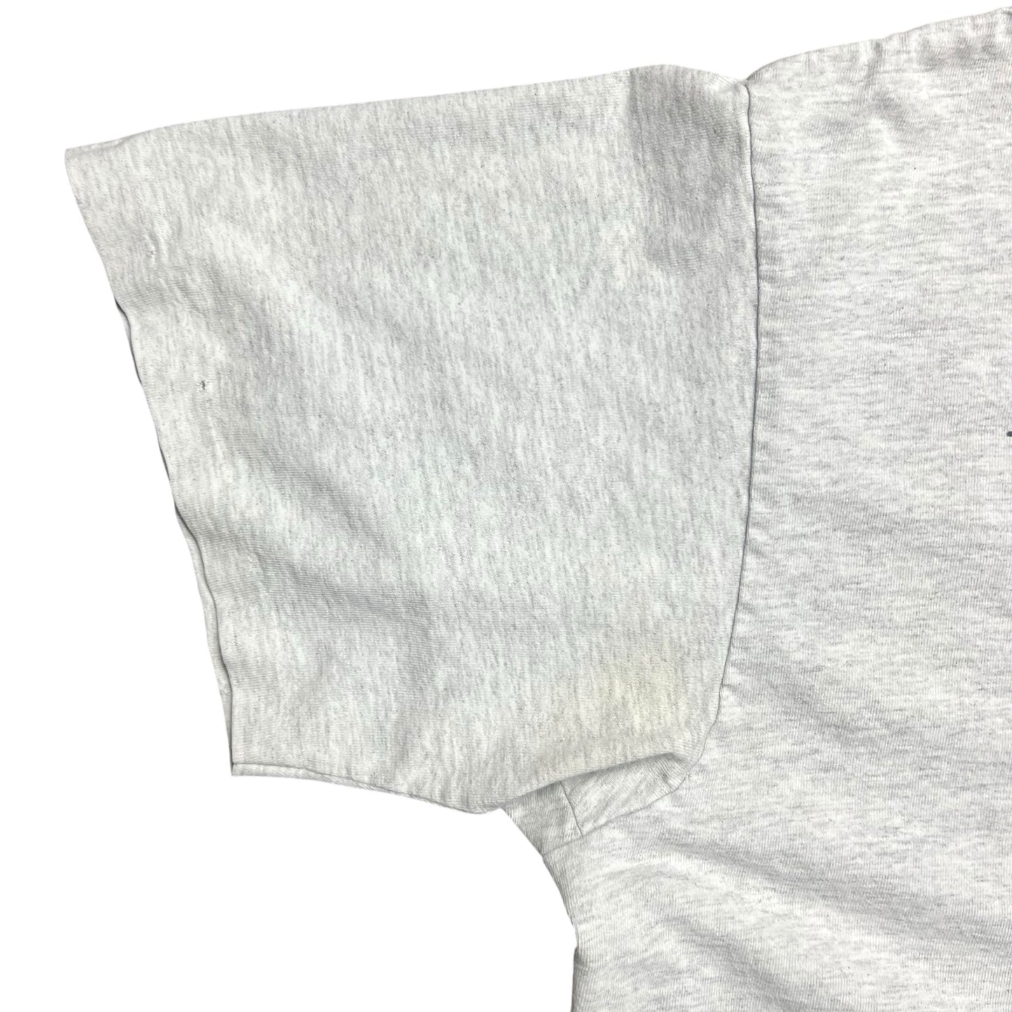 1995 Wile E. Coyote Geniuswear Looney Tunes T-Shirt - L