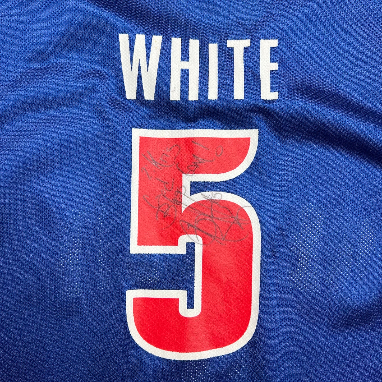 Champion Detroit Pistons Signed Rodney White NBA Basketball Jersey - XL