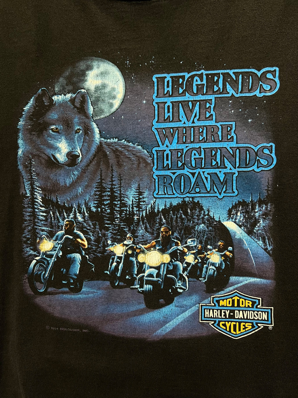 1991 Harley-Davidson Legends Roam T-Shirt - XL