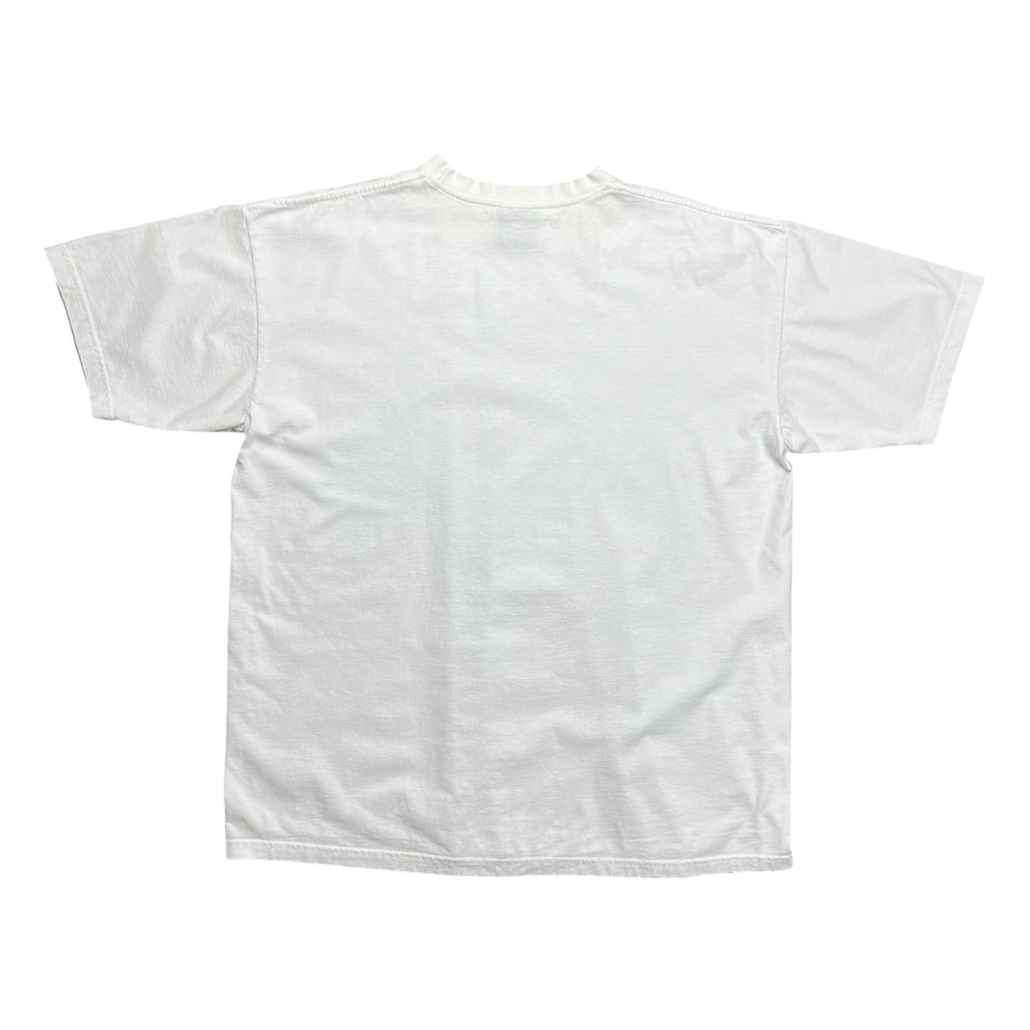 Martin Luther King & Barack Obama Dreams Become Reality T-shirt - XXL